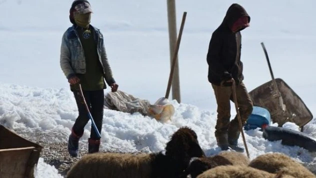 Yaşları küçük, yükleri büyük