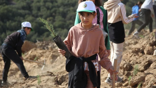 3 ay önce yanan ormanlık alan yeniden ağaçlandırıldı