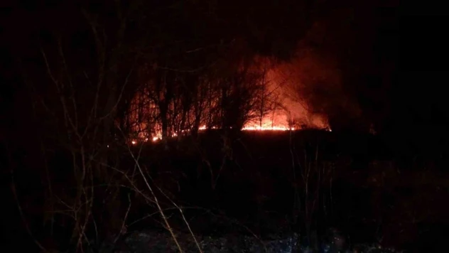 5 dönüm alanda çıkan örtü yangını kontrol altına alındı