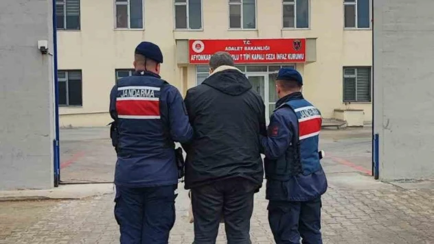 6 yıl 8 ay hapis cezasıyla aranan şahıs jandarma tarafından yakalandı