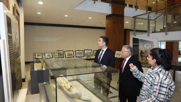 7,5 milyon yıllık Fosil Sergisi yoğun ilgi görüyor