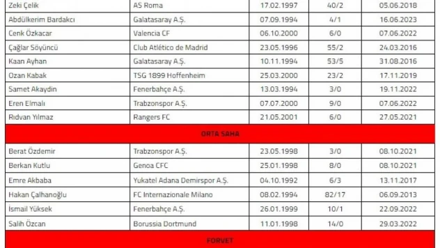 A Milli Futbol Takımı'nın Almanya ve Galler maçları kadrosu belli oldu
