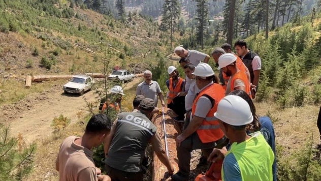 Adana'da ormandan 2.3 milyar TL gelir elde edildi