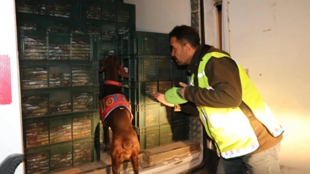 Adıyaman'da jandarmadan uyuşturucu operasyonu