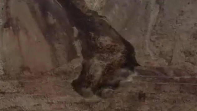 AFAD'ın kontrolünde boş alanda meydana gelen toprak kayması cep telefonu kamerasına yansıdı