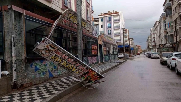 Afyonkarahisar'da fırtına hayatı olumsuz etkiledi