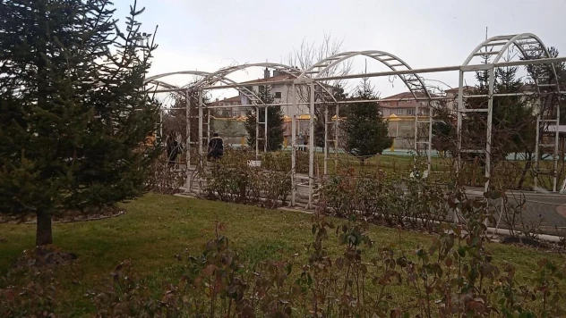 Afyonkarahisar'da kar yağışı