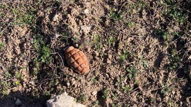 Afyonkarahisar'da patlamamış el bombası bulundu
