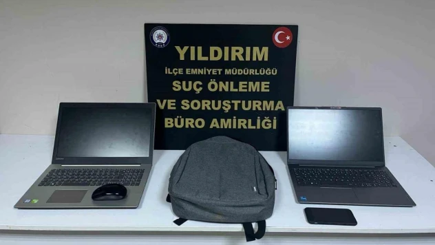Ağaca çıkan maymun değil hırsız... Çıktığı ağaçta polise el salladı