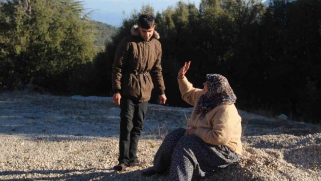 Ağaçların şarampole uçmaktan kurtardığı otobüs şoförüne yaşlı yolcudan moral