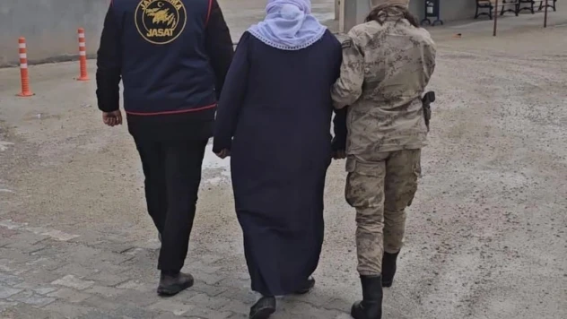 Ağrı'da firari olan 9 kişi jandarma tarafından yakalandı