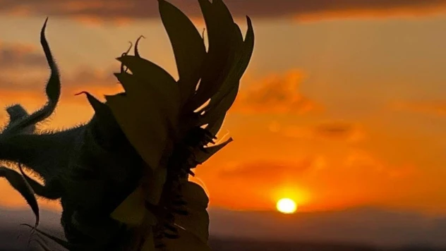 Ağrı'da gün batımı görsel şölen oluşturdu