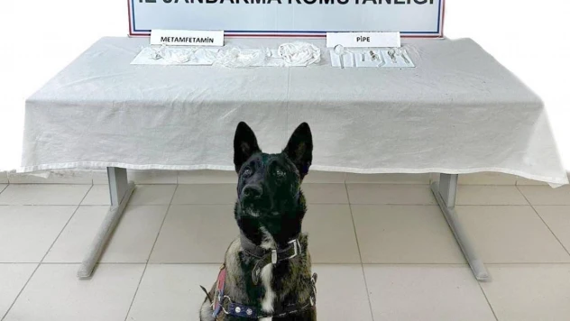 Ağrı'da uyuşturucu ele geçirildi