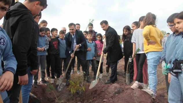 Ahlat'ta 2023 fidan dikildi