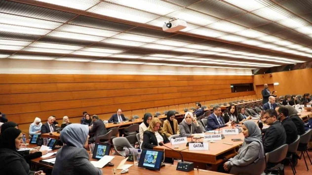 Aile ve Sosyal Hizmetler Bakanı Göktaş: 'Birleşmiş Milletler 75 yıllık mesaisinde vadettiği sözleri yerine getirmekten uzak kalmıştır'