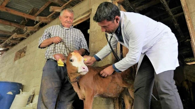 AK Partili Pekdemir, Pamukkale'de kırsal kalkınma hamlesi başlatacak