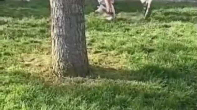 Akran zorbalığı kamerada: Yumruk atıp silah çekti