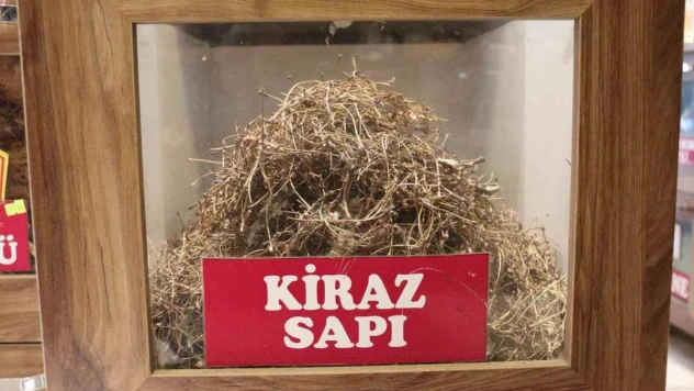 Aktar herkesin çöpe attığı kiraz sapının faydalarını anlattı