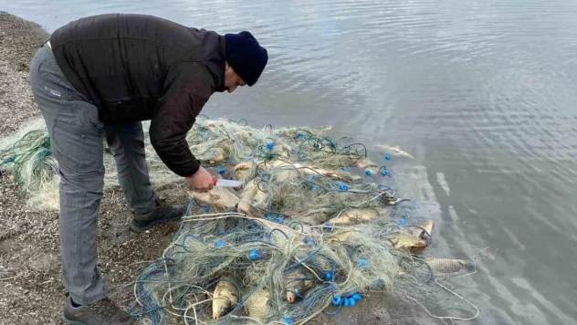 Alaca'da bin 700 kaçak ağ yakalandı