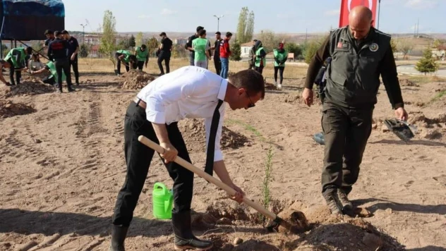 Alaca'da fidan dikim etkinliği düzenlendi