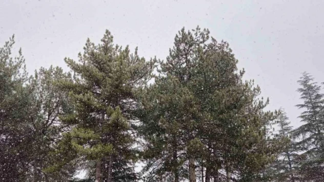 Alaca'ya lapa lapa kar yağdı