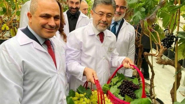 Alaşehirli üzüm üreticilerine müjde