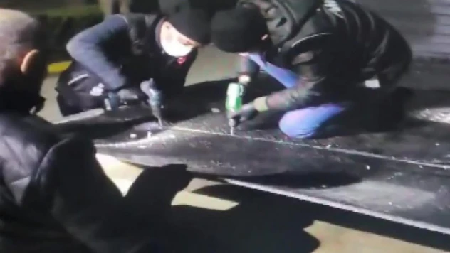 Amasya'da polisler 120 kilogram uyuşturucuyu böyle buldu