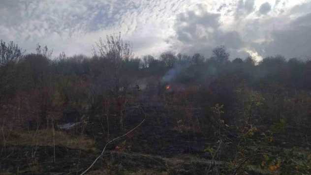 Anız yangını ormana sıçramadan söndürüldü