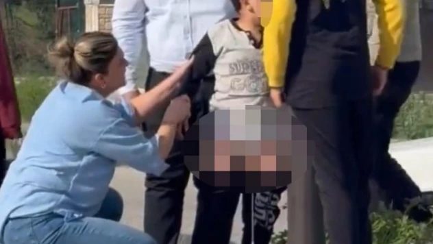 Ankara'da başıboş köpekler çocuğa saldırdı