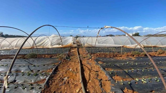 Antalya'da fırtına seralara da zarar verdi