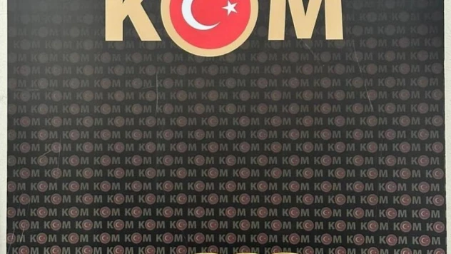 Ardahan'da halk sağlığını tehdit eden ürünler ele geçirildi