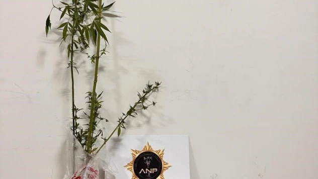 Ardahan'da uyuşturucu operasyonu