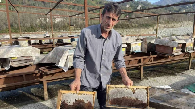 Arılarının 'Kafkas arısı' olduğunu ispatladı şimdi de zararının ödenmesi için mücadele ediyor