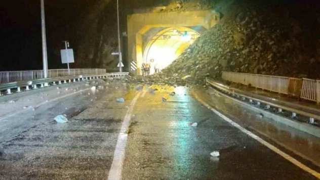 Artvin'de sağanak yağış heyelanlara neden oldu