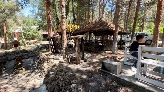 Atatürk Kent Ormanı ilgisiz kaldı