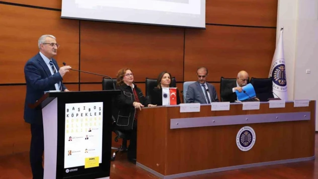 Atatürk Üniversitesinden 'Başıboş köpekler sorununa bilimsel bakış'