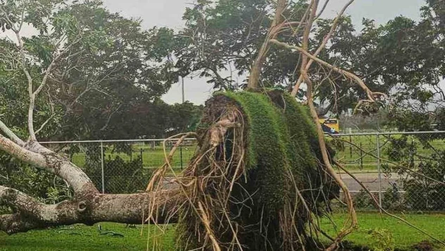 Avustralya'nın doğusunu fırtına vurdu: 64 bin kişi elektriksiz