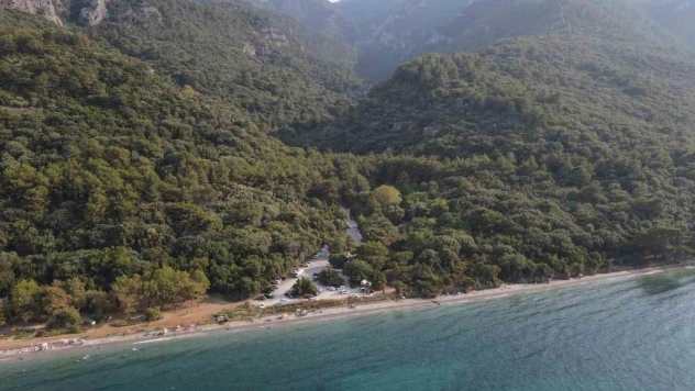 Aydın'da 1 yılda 20 bin gelir getirici fidan toprakla buluştu