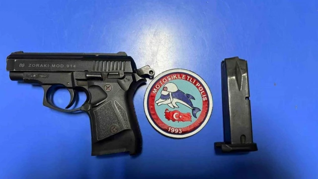 Aydın'da yunus ekipleri göz açtırmıyor