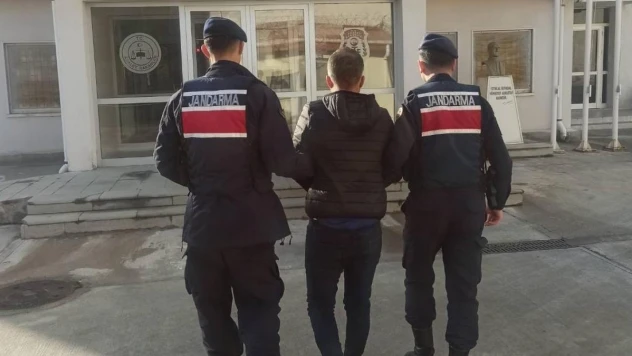 Aydın jandarmasından eş zamanlı operasyon: 15 gözaltı