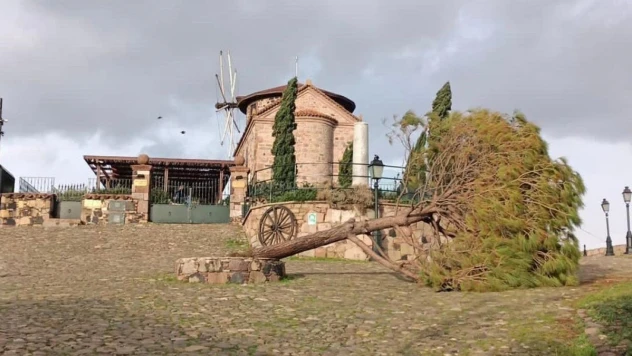 Ayvalık'ta kuvvetli fırtına ve yağış etkili oldu