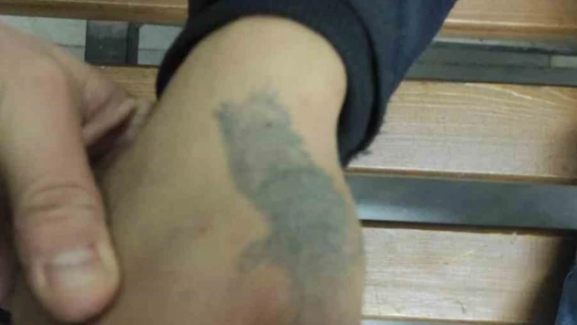 Azılı hırsız elindeki dövmeden yakalandı