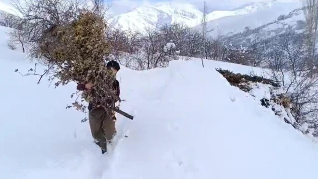 Bahçesaray'da çiftçilerin zorlu mesaisi