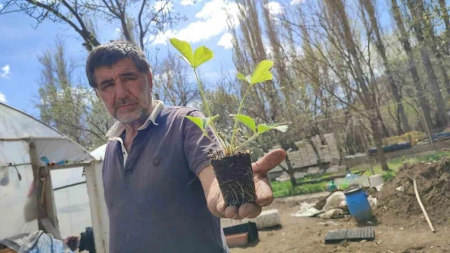 Bahçesinde üretiyor, Türkiye'nin dört bir yanına ulaşıyor