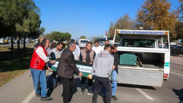 Bahçesine gitmek isterken otomobilin çarpmasıyla can verdi