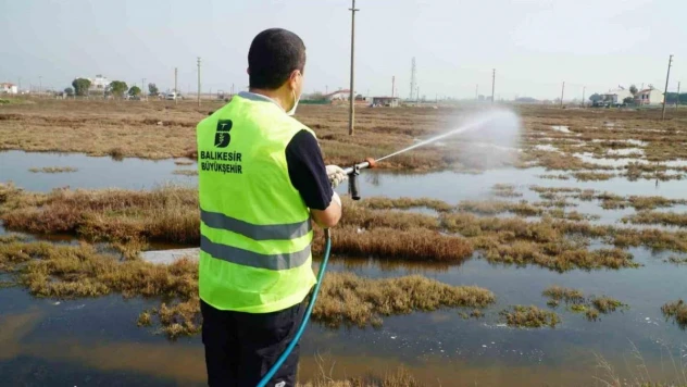 Balıkesir Büyükşehir larvaları tespit ederek anında müdahale ediyor