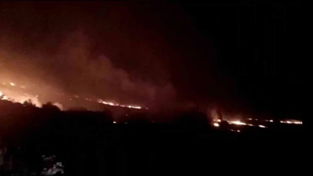 Balıkesir'de orman yangını