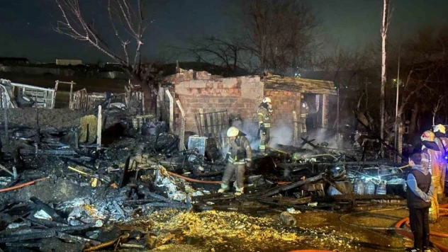 Başakşehir'de ahırda çıkan yangında 3 hayvan telef oldu