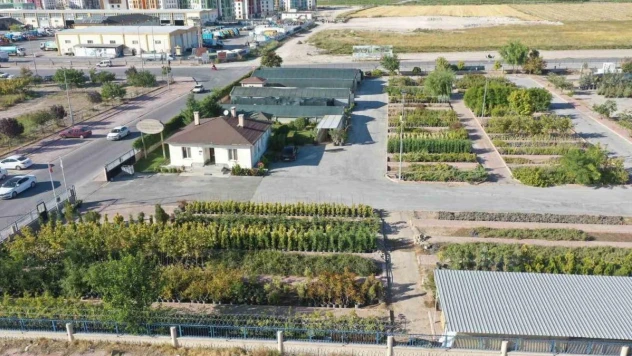 Başkan Çolakbayrakdar: 'Kişi başına düşen 18 metrekare yeşil alan ile rekoru yenileyeceğiz'