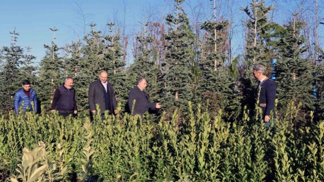 Başkan Yalçın: 'Baharda farklı bir millet bahçesi bizi bekliyor'